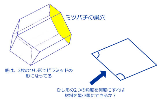 マラルディのピラミッド